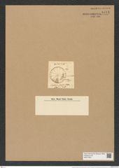 Actinocyclus sparsus (Grev.) Rattr. (de-Toni-Nr.: Genus 195, Species 4778) Zeichnungen Sammlung Grunow Nr. 8411 (NHMW-BOT-W0377852)